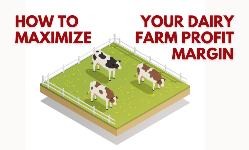 How To Maximize Your Dairy Farm’s Profit Margins SR Publications