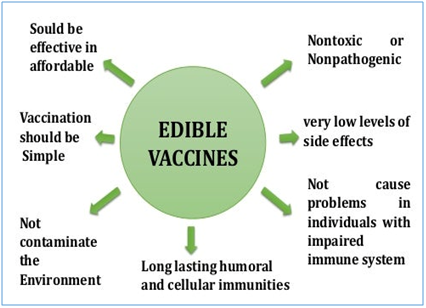Edible Vaccine