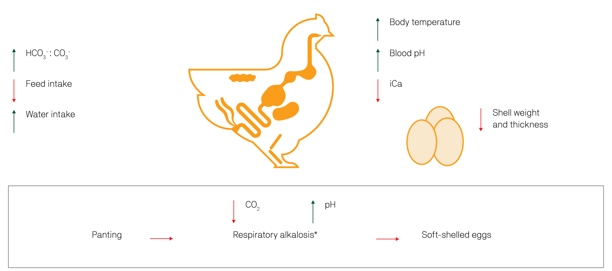 Heat Stress management in Poultry SR Publications