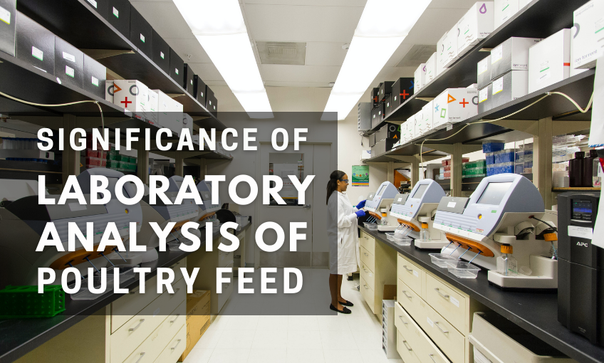 Significance of laboratory analysis of poultry feed SR Publications