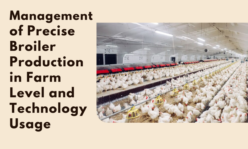Management of Precise Broiler Production in Farm Level and Technology