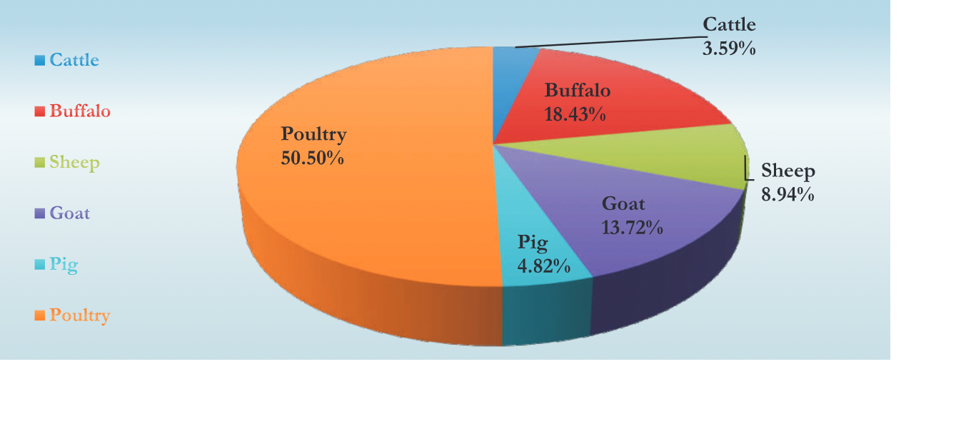 Overview of the Indian Meat Industry SR Publications