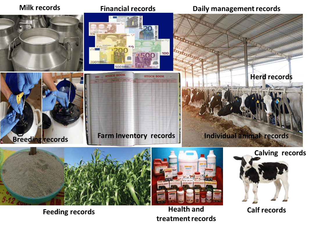 Record Keeping A key to profitable dairy farming SR Publications