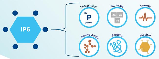 The-use-of-higher-levels-of-phytase-to-reduce-dietary-inclusion-of-inorganic-phosphates2