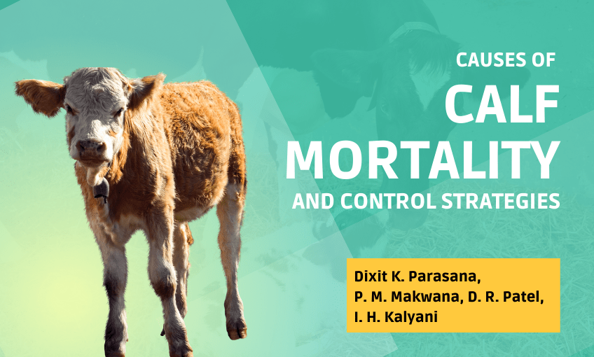 CAUSES OF CALF MORTALITY AND CONTROL STRATEGIES - SR Publications