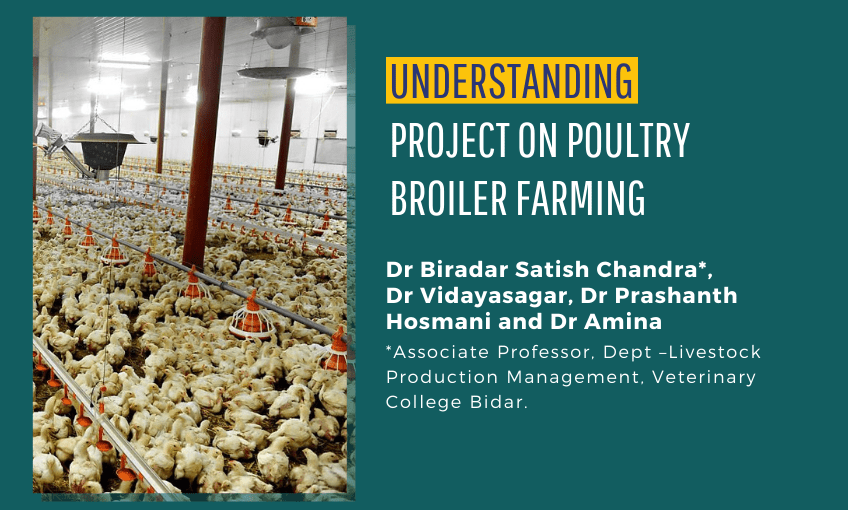 PROJECT ON POULTRY BROILER FARMING SR Publications