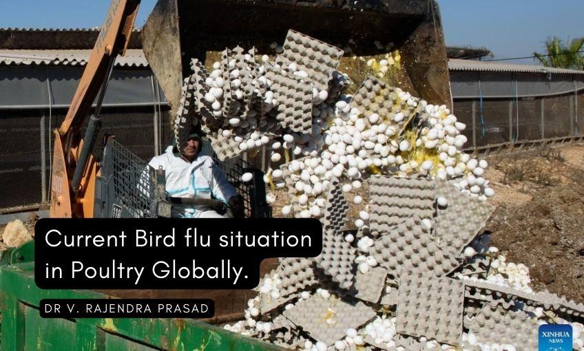Current Bird flu situation in Poultry Globally. - SR Publications