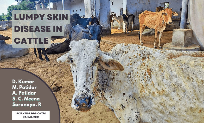 Lumpy Skin Disease in Cattle - SR Publications
