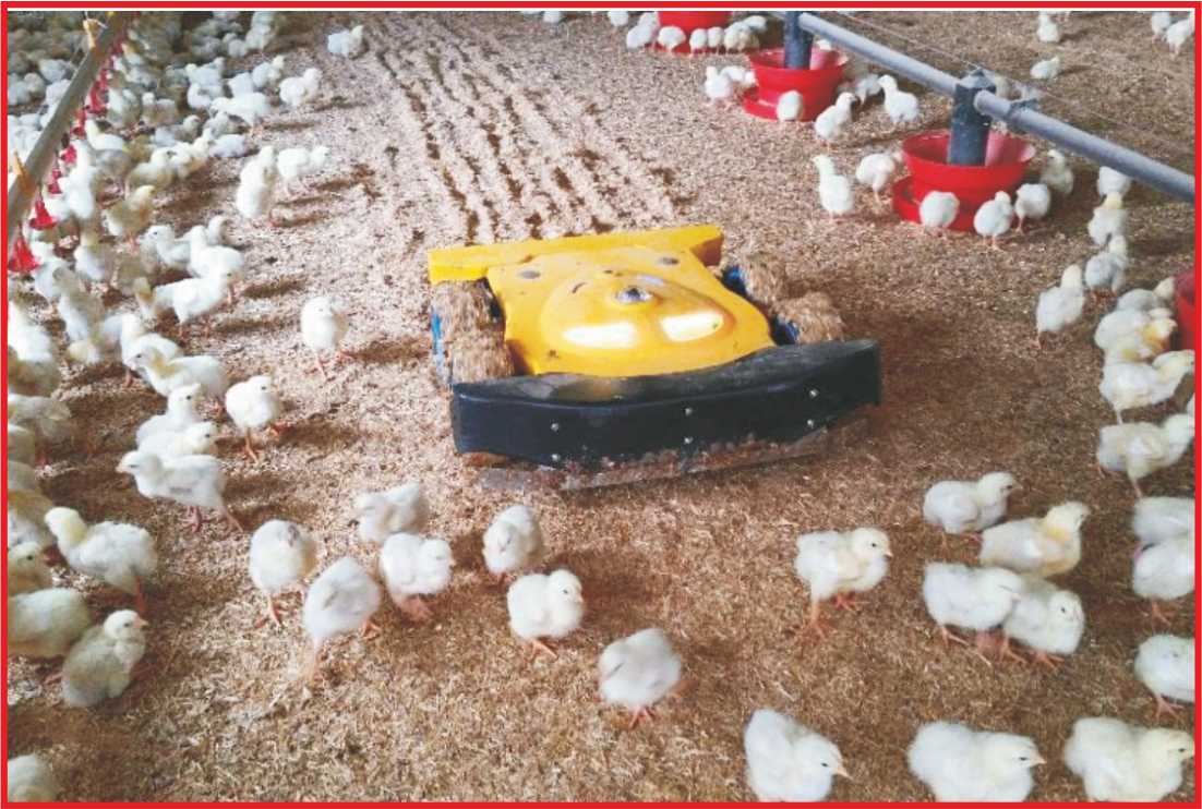Modern innovations in Poultry Farming SR Publications