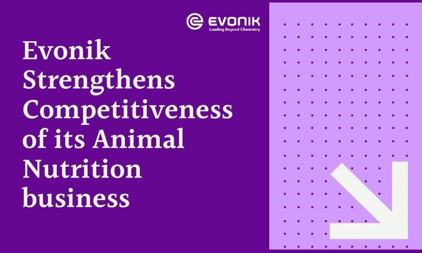 Evonik strengthens competitiveness of its Animal Nutrition business