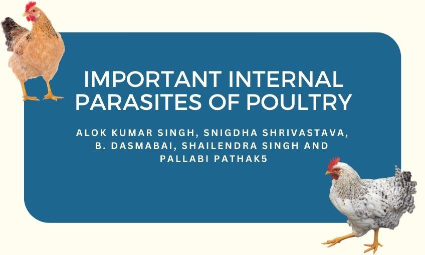 Important Internal Parasites of Poultry SR Publications