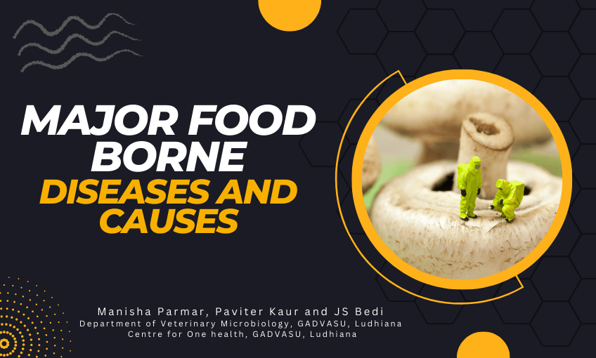 Major Food Borne Diseases and Causes SR Publications