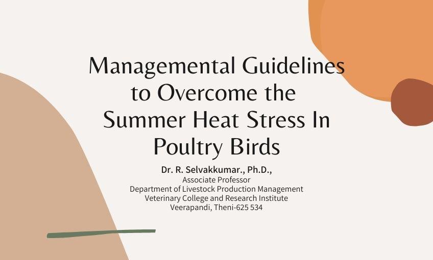 Managemental Guidelines to The Summer Heat Stress in Poultry