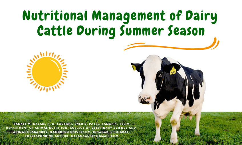 Nutritional Management of Dairy Cattle During Summer Season SR Publications