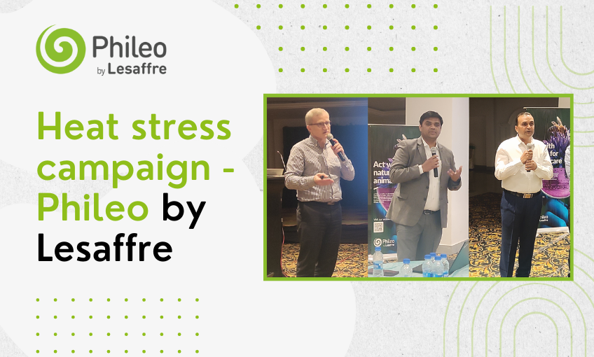 Heat stress campaign -Phileo by Lesaffre - SR Publications