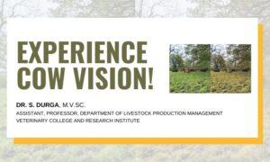EXPERIENCE COW VISION!