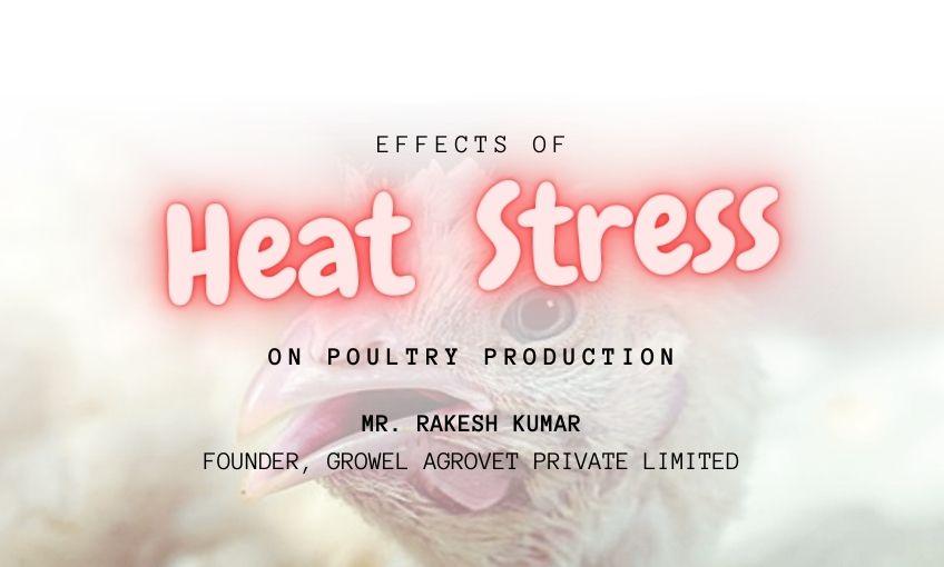 Effects of Heat Stress on Poultry Production SR Publications