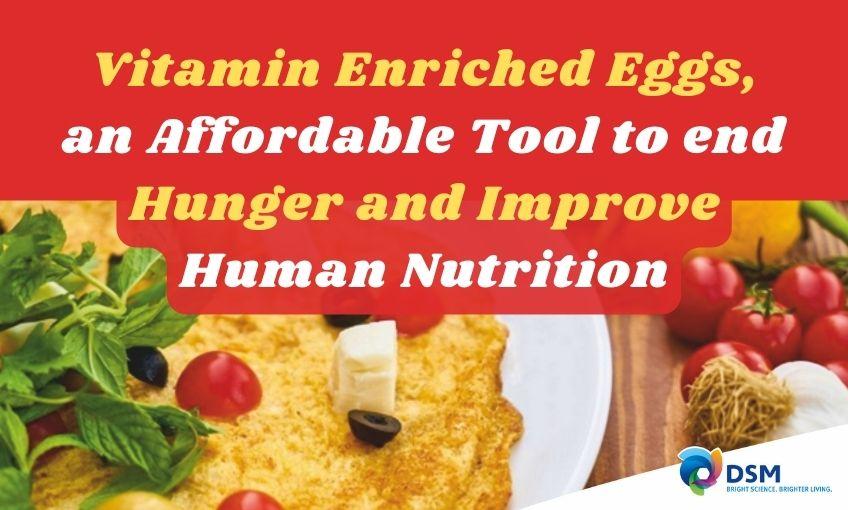 Vitamin Enriched Eggs, an affordable tool to end hunger and improve