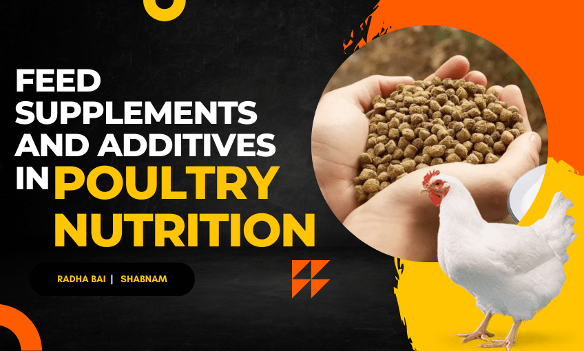 Feed Supplements and Additives in Poultry Nutrition SR Publications