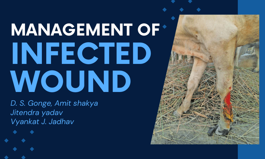 Management of Infected Wound SR Publications