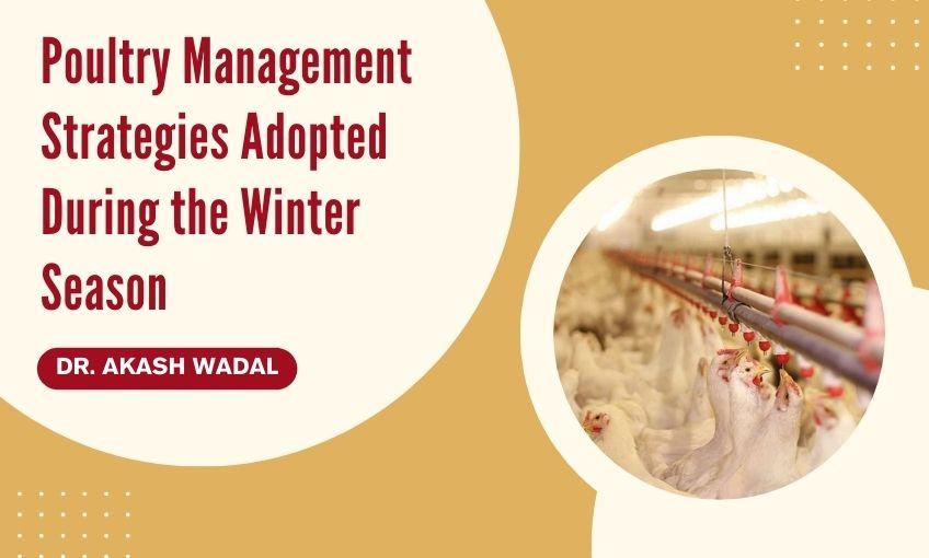 Poultry Management Problem Poultry Management Strategies Adopted During the Winter Season - SR ...