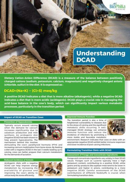 Understanding Dietary Cation-Anion Difference (DCAD) - SR Publications