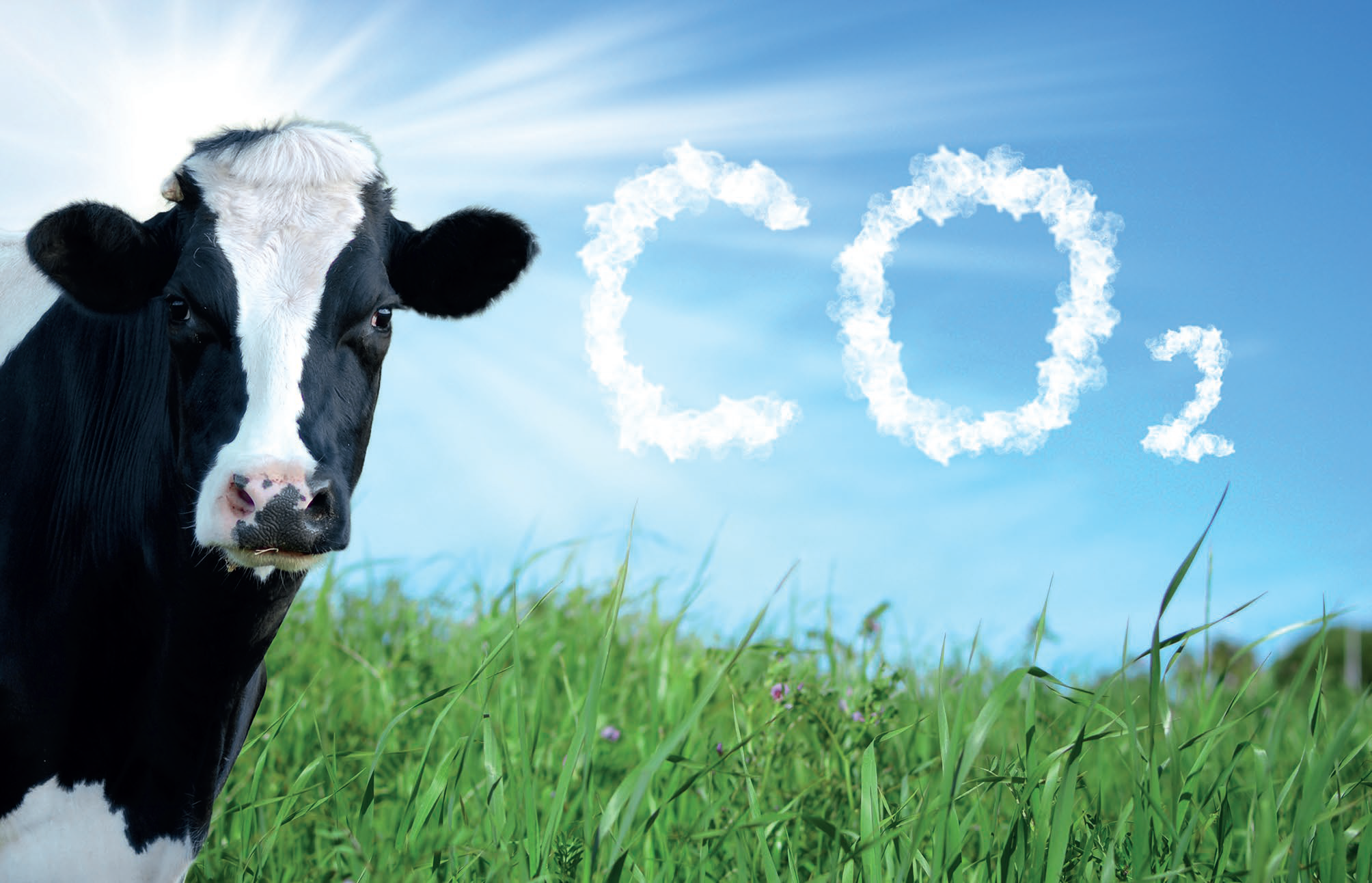 MANAGING THE ENVIRONMENTAL IMPACT OF FEED FORMULAS - SR Publications