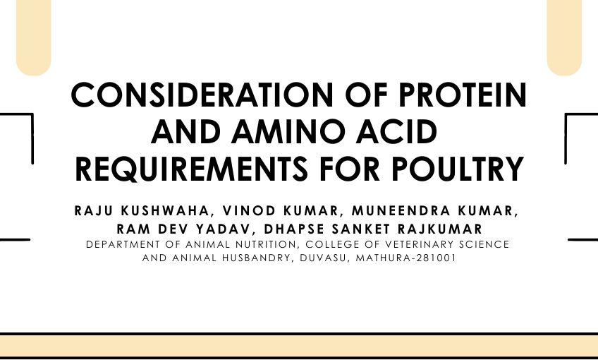 Consideration of Protein and Amino Acid Requirements for Poultry - SR ...