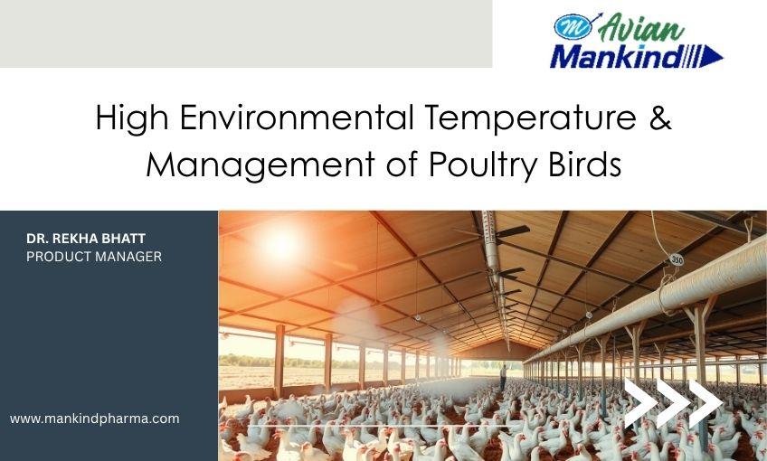 High Environmental Temperature & Management of Poultry Birds - SR ...