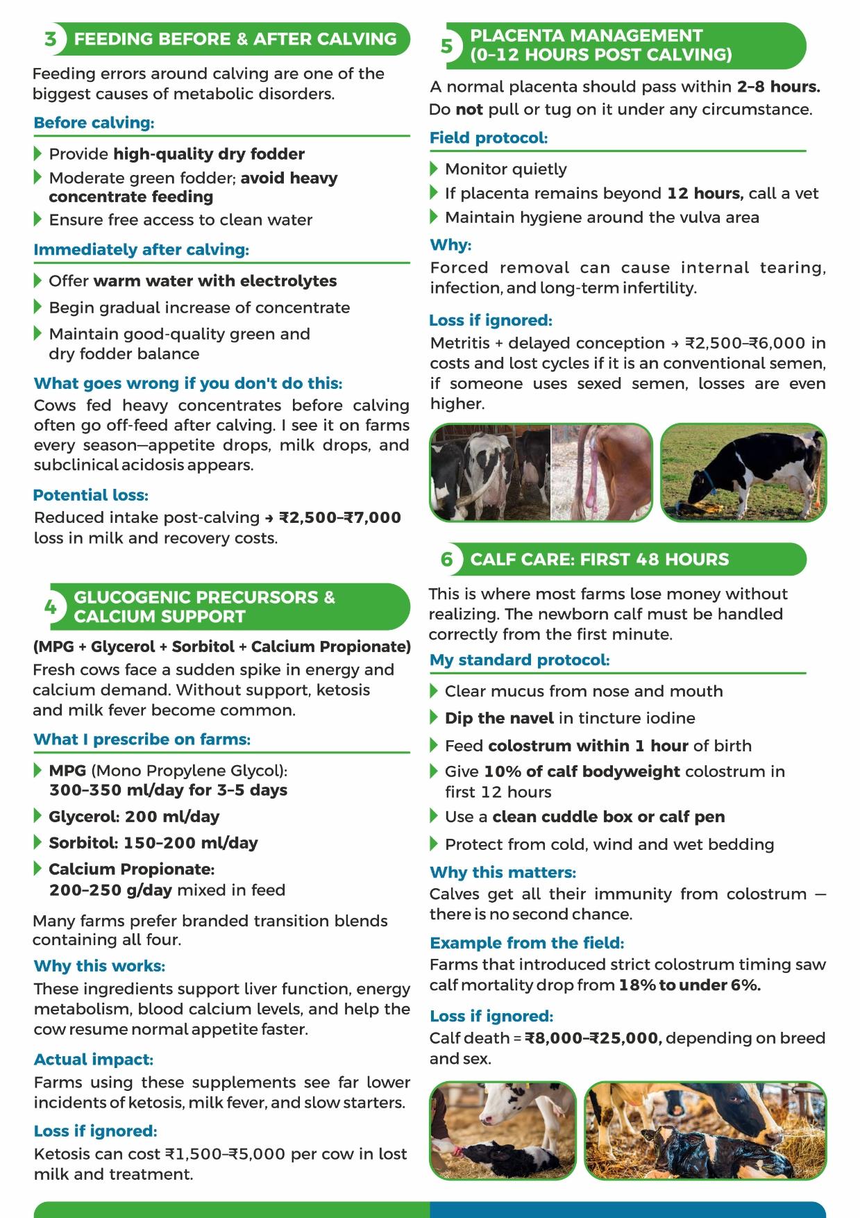 Calving can either set the cow up fog a productive lactation or create ...